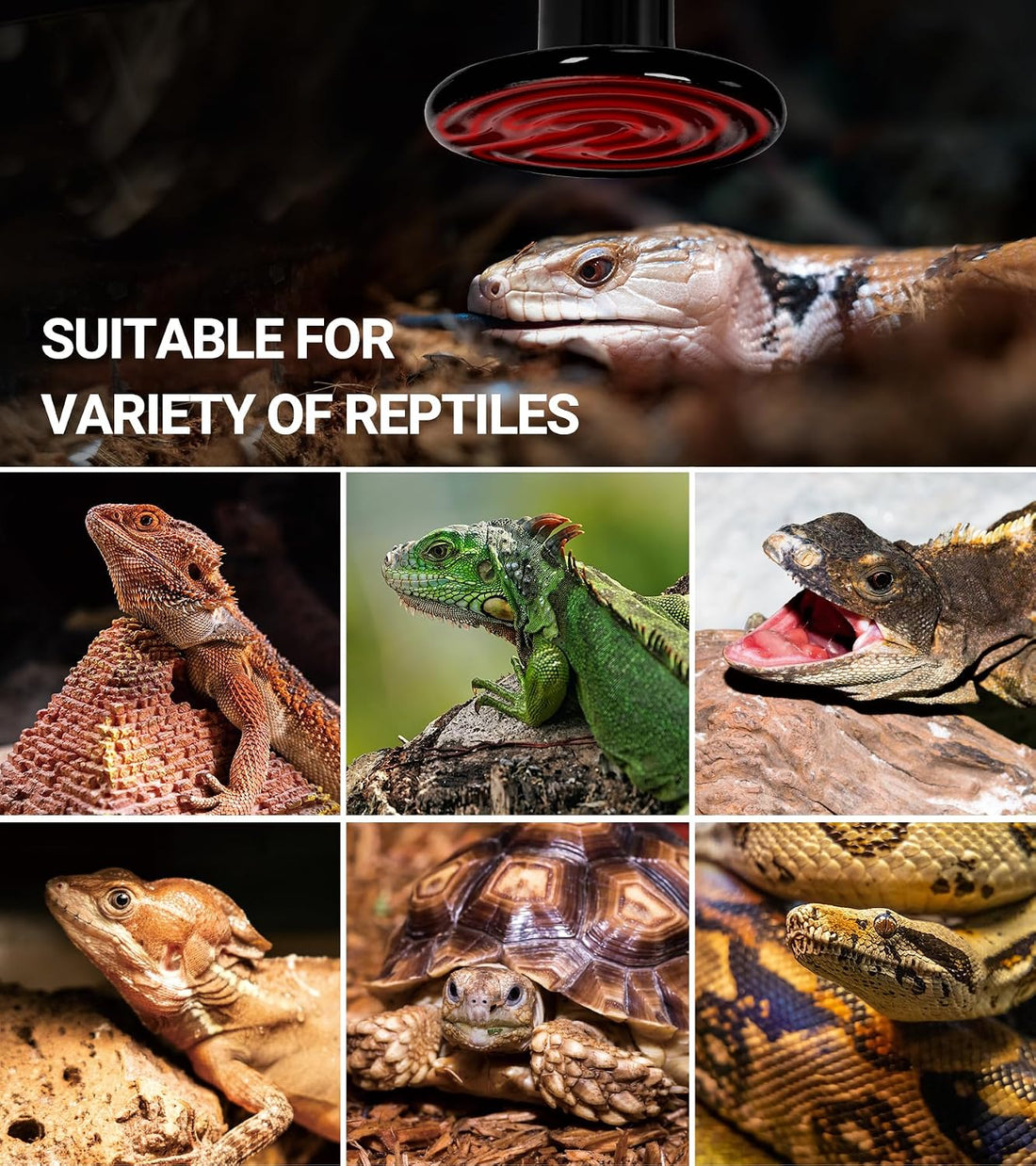 REPTI ZOO 100W Reptile Heat Lamp 2Pack Ceramic Heat Emitter Night