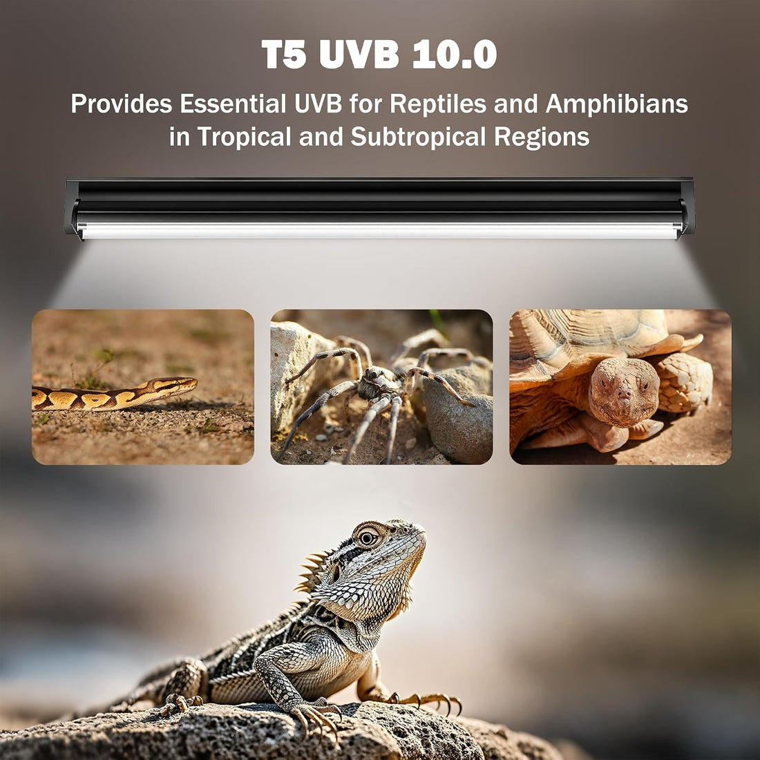 T5 10.0 UVB Reptile Light Fixture, 24W 22" for Bearded Dragon