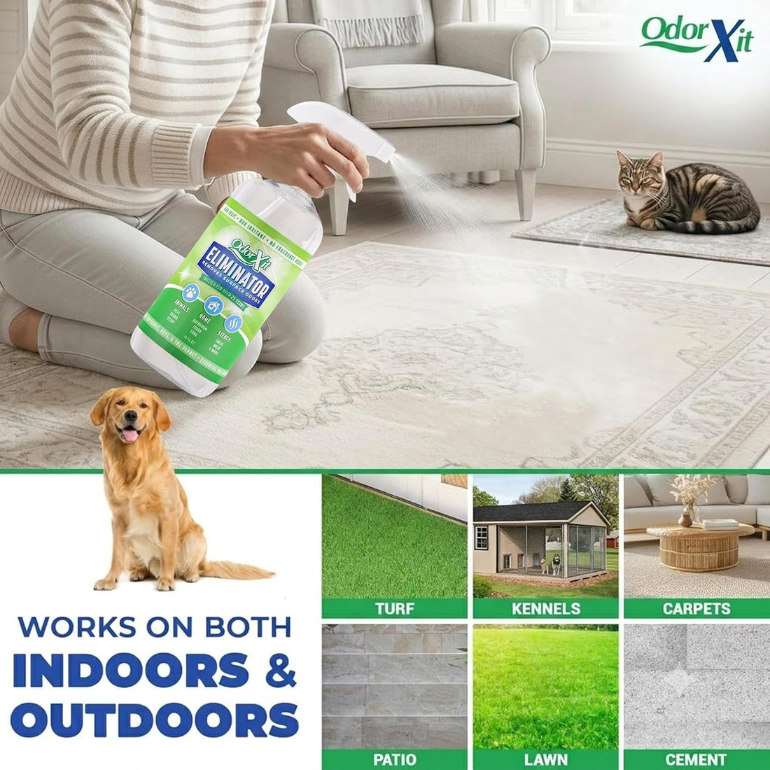 OdorXit Pet Urine Odor Eliminator
