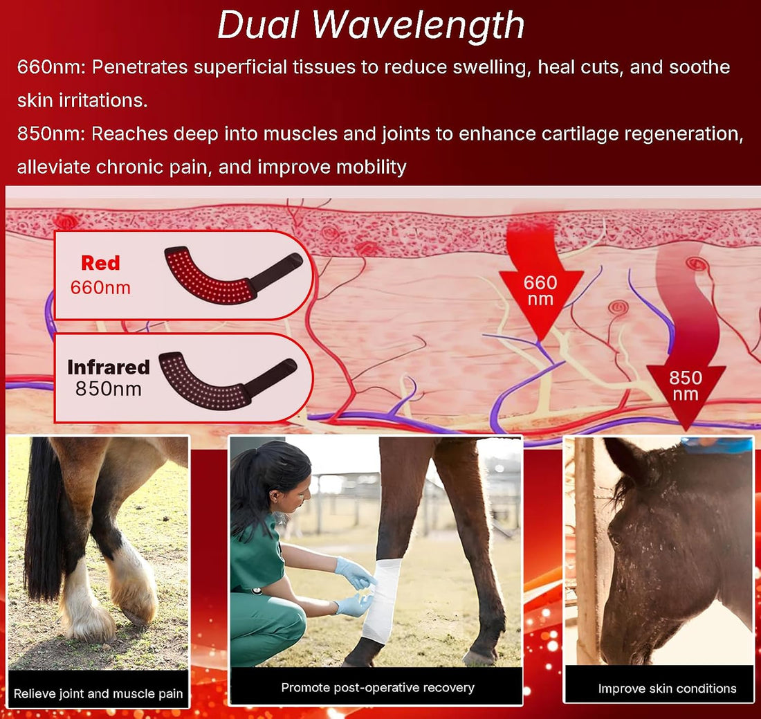 Wearable Red Light Therapy Hoof Boots