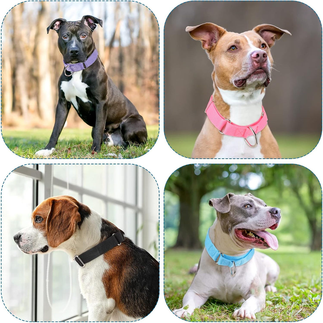 12 Pack Martingale Collar for Dogs Reflective Dog Collars