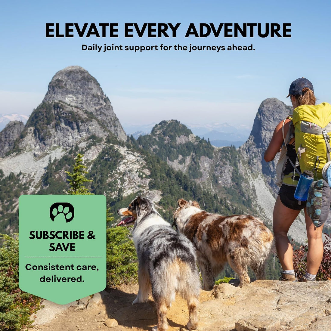 Extend Dog Hip and Joint Supplement Beef Flavored Powder Packets