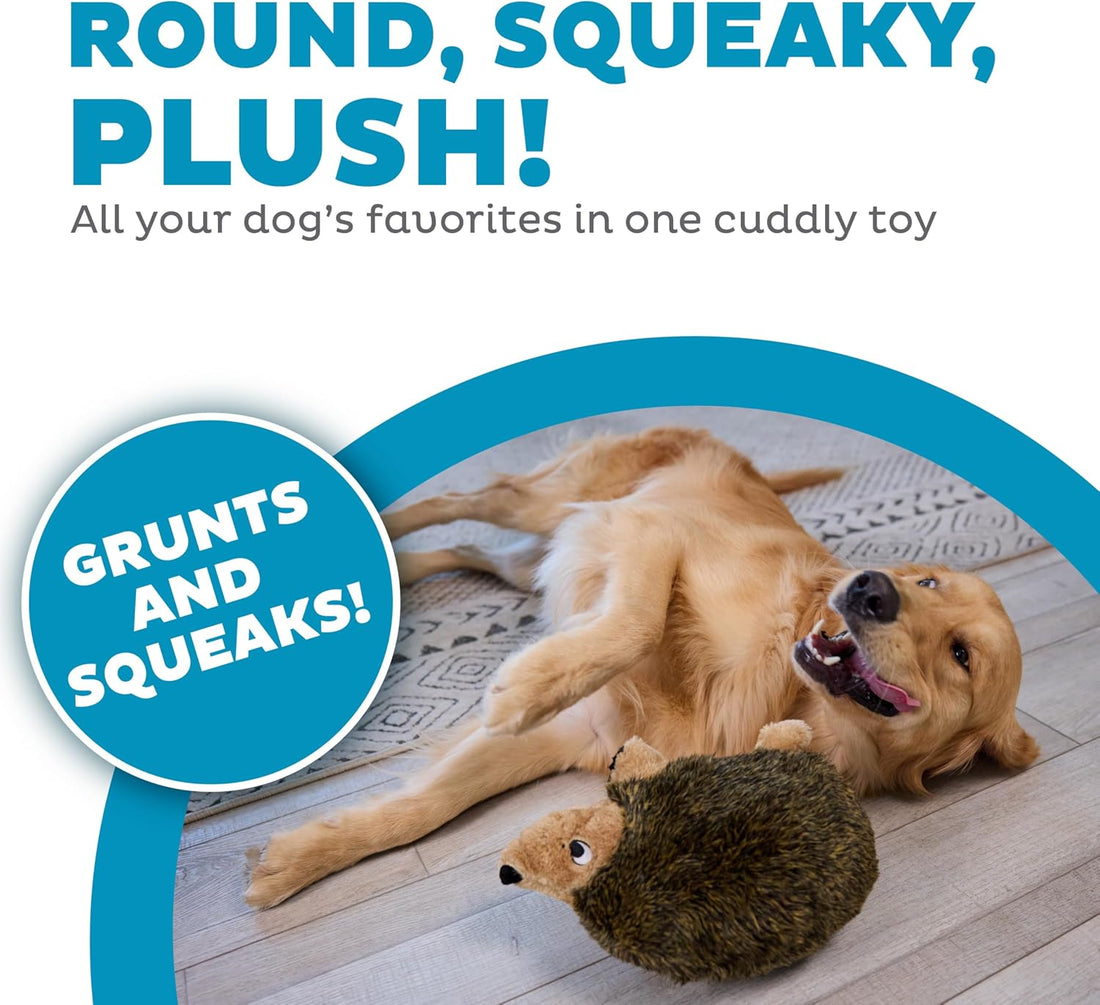 Outward Hound Hedgehogz Plush Dog Toy, Squeaks & Grunts, Large