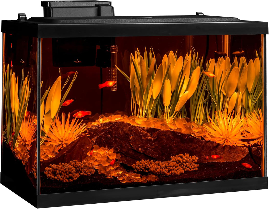 Tetra ColorFusion 20 Gallon Complete Aquarium Kit