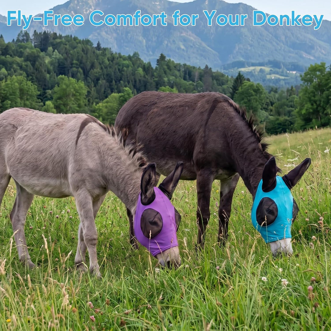 2 Pcs Mini Donkey Fly Mask with Ears Protection and Big Mesh Eye