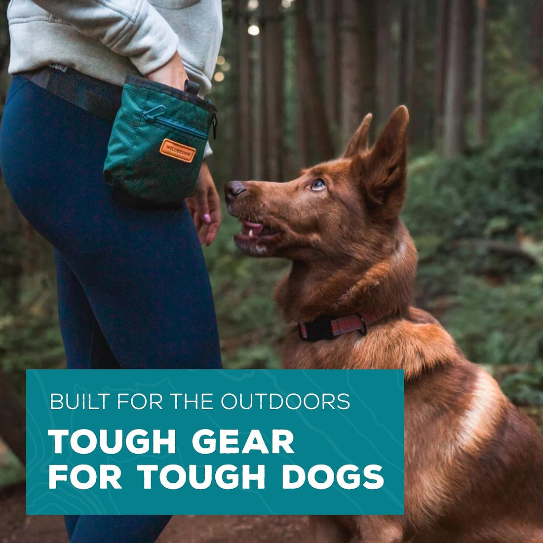 Wilderdog Dog Training Treat Pouch with Magnetic and Zipper Closure