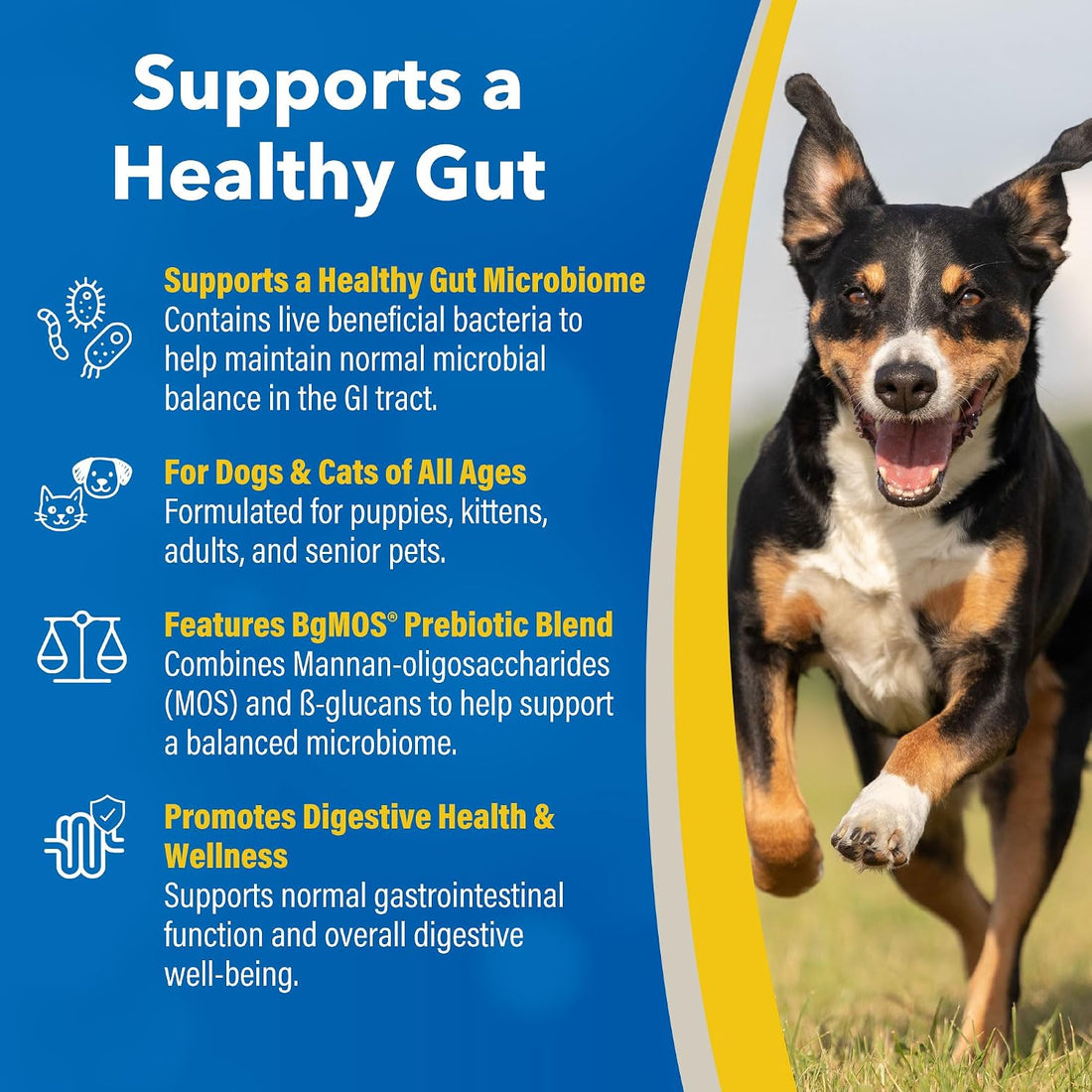 Doc Roy's GI Synbiotics Prebiotic & Probiotic Granules for Dogs & Cat