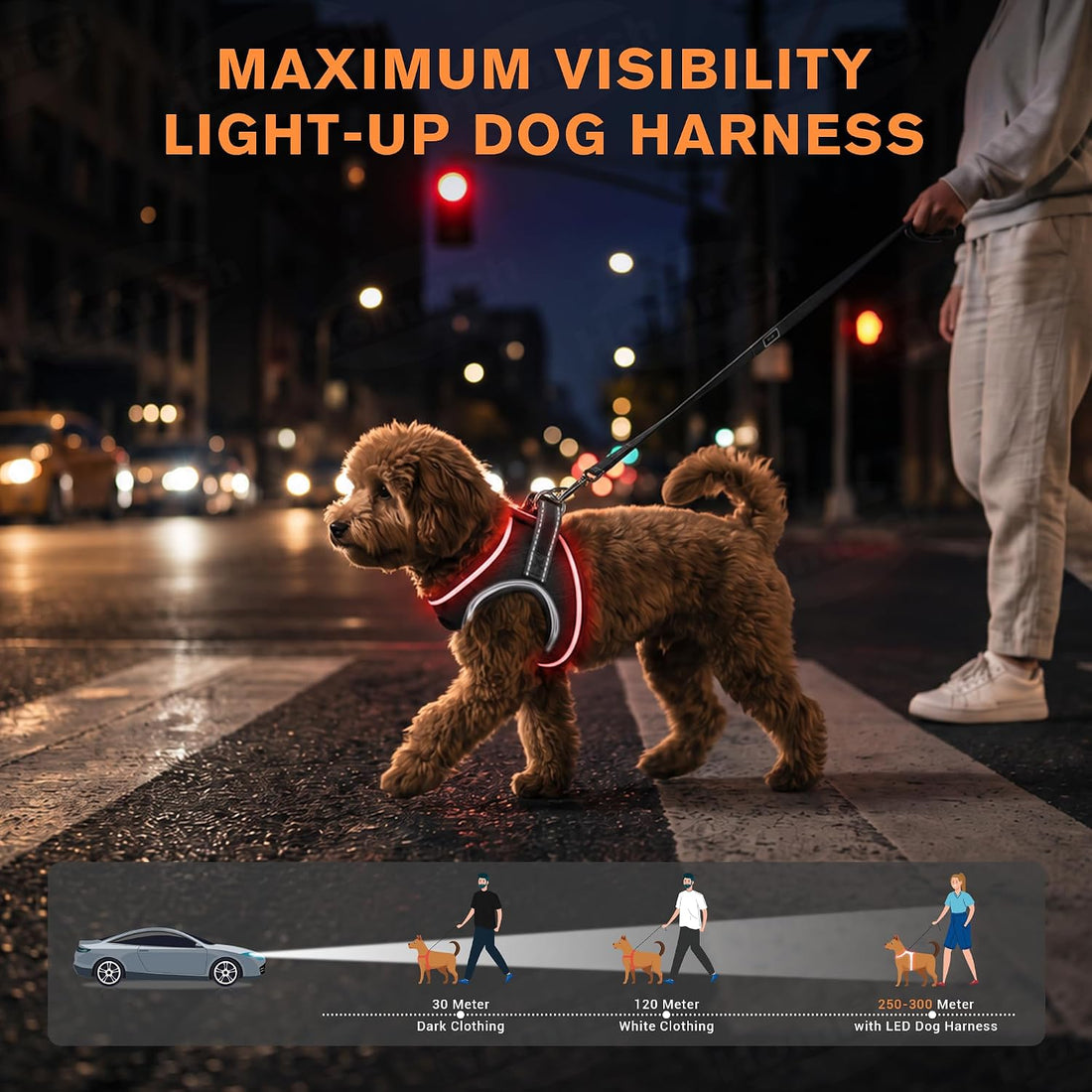 LED Dog Harness for Small Dogs Nighttime Safety Walks