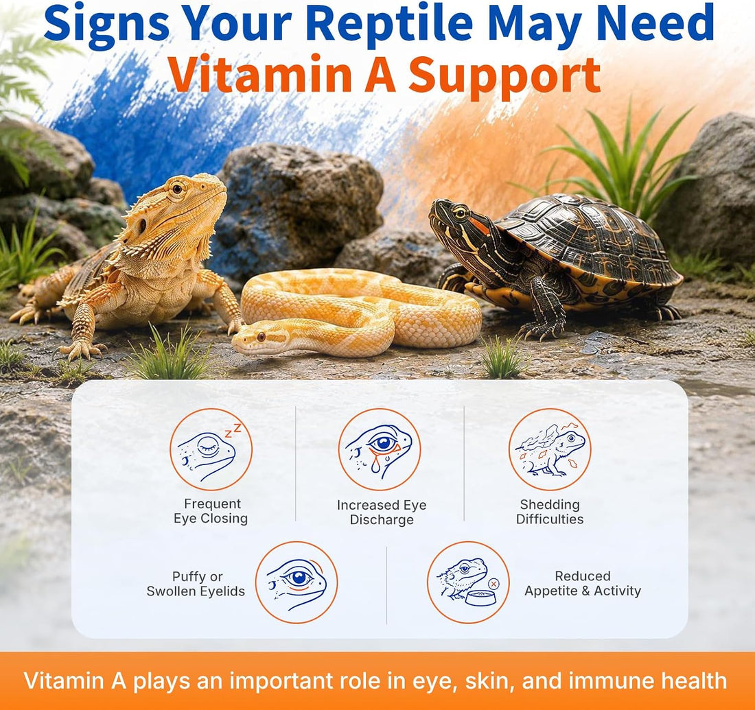Reptile Vitamin A Supplement, Focused Formula
