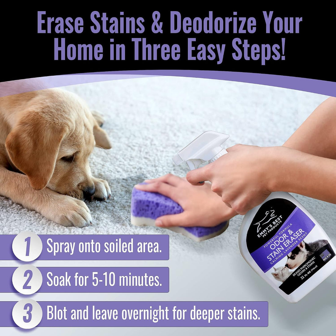 EBPP Odor & Stain Eraser - Made in The USA