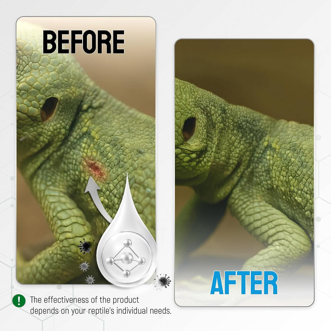 SILVER GRADE Reptile Antibiotics Mouth Rot Spray for Snakes & Lizards