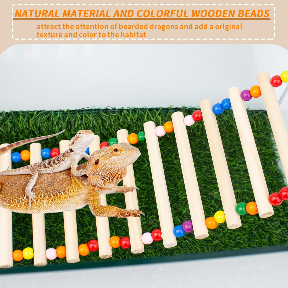 FlidRunest Bearded Dragon Window Ladder with 2 Sturdy Suction Cups