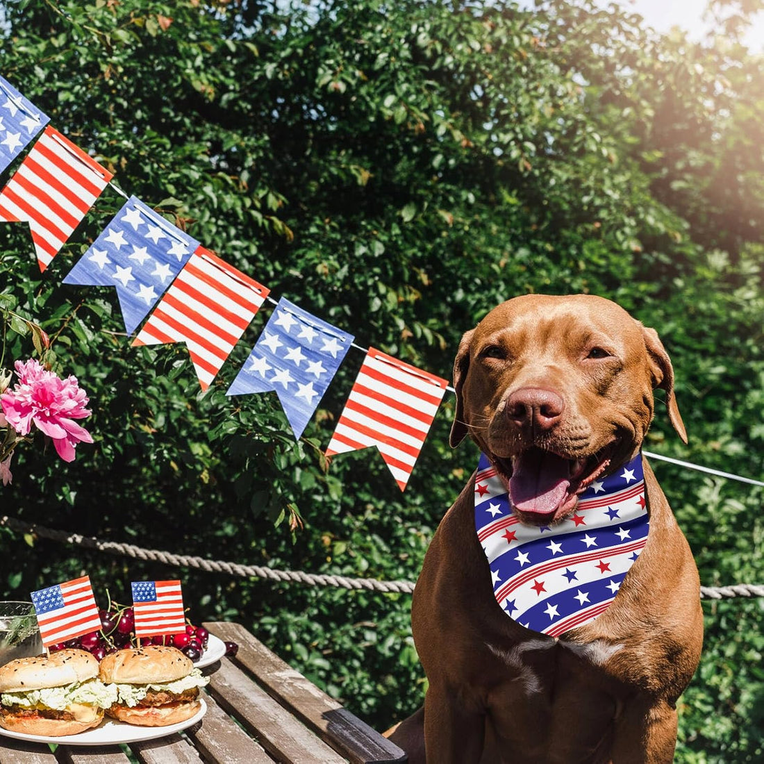 Gofshy Sublimation DOD Bandanas 6PCS, Heat Transfer Washable Dog Scarf
