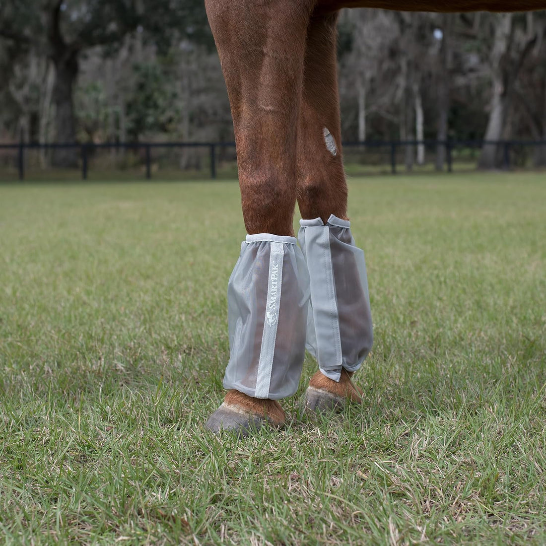 SmartEquine Deluxe Relaxed Fit Fly Boots for Horses, Pair, Horse Size