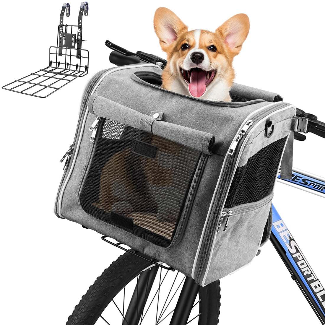 Xixter Dog Basket for Bike, Suitable for Small & Medium Pet Up to 10