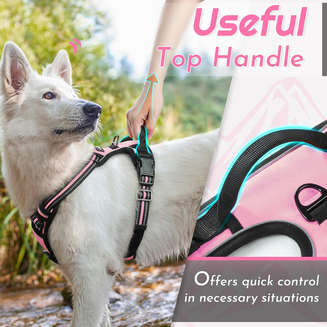 Eagloo Dog Harness for Large Dogs