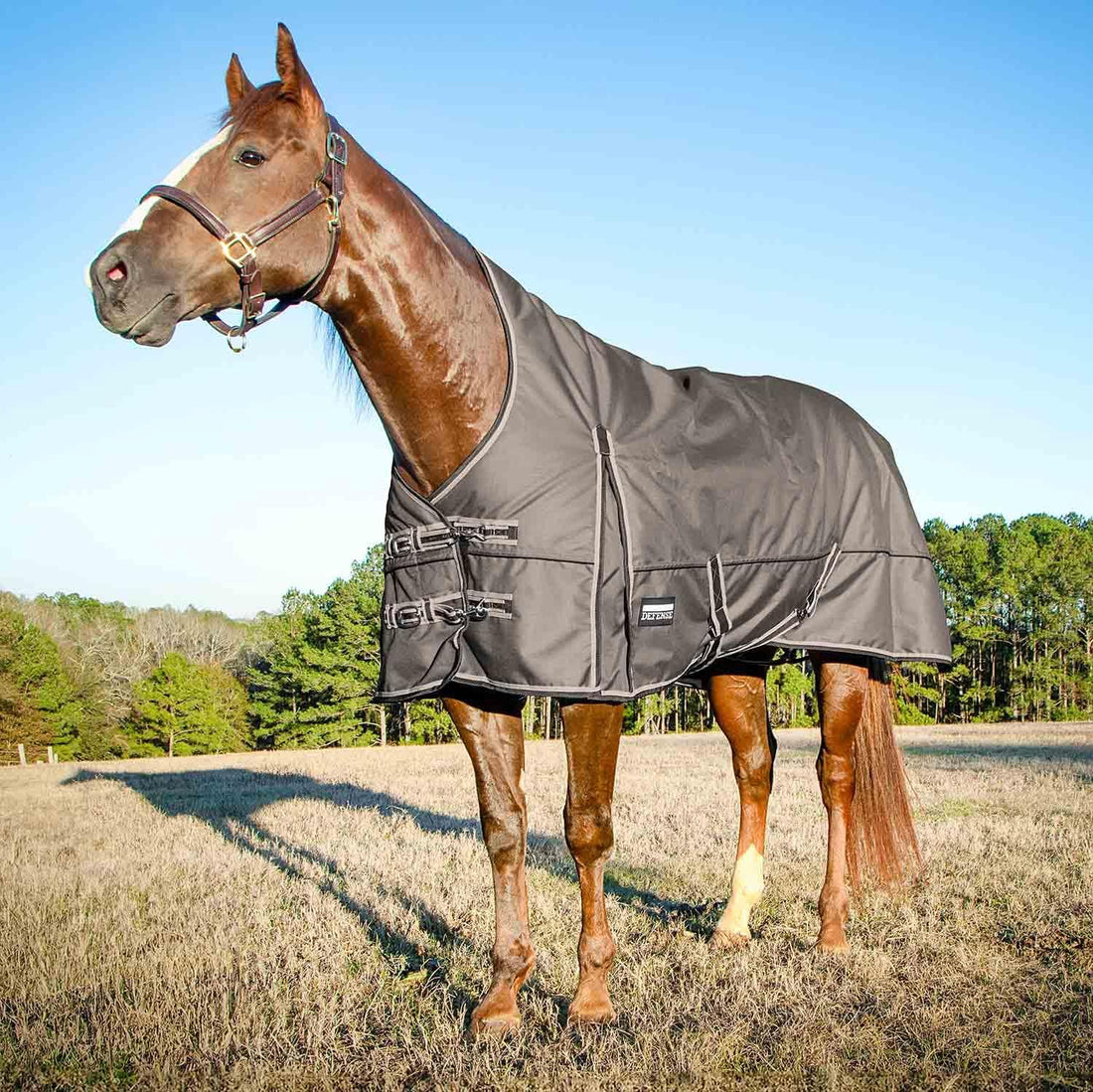 Jeffers 1200D Standard Neck Turnout Blanket, 240G, 78"