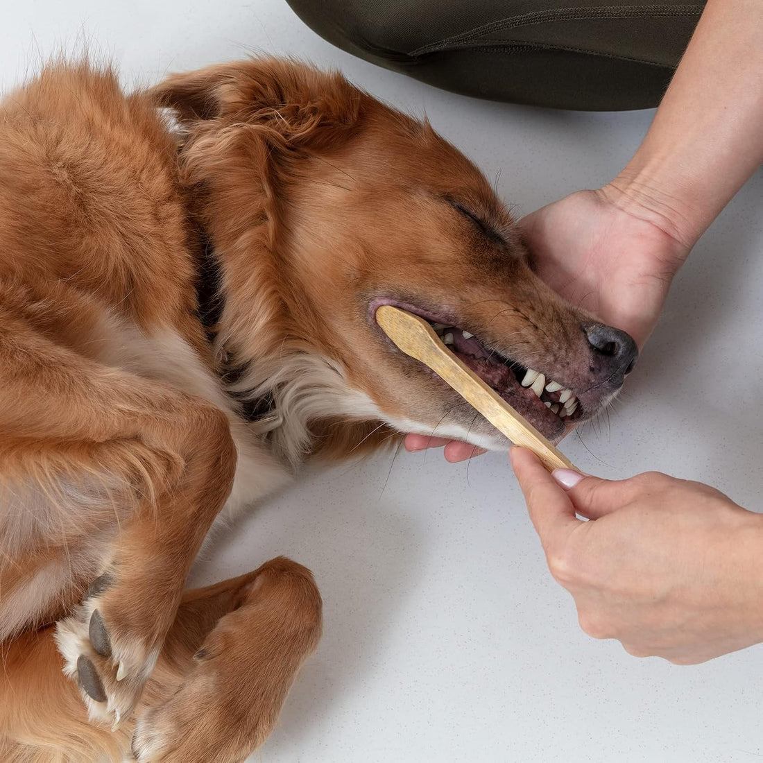 Prymal Pets Dog Toothbrush I 4-Pack Two Sided Bamboo Toothbrush