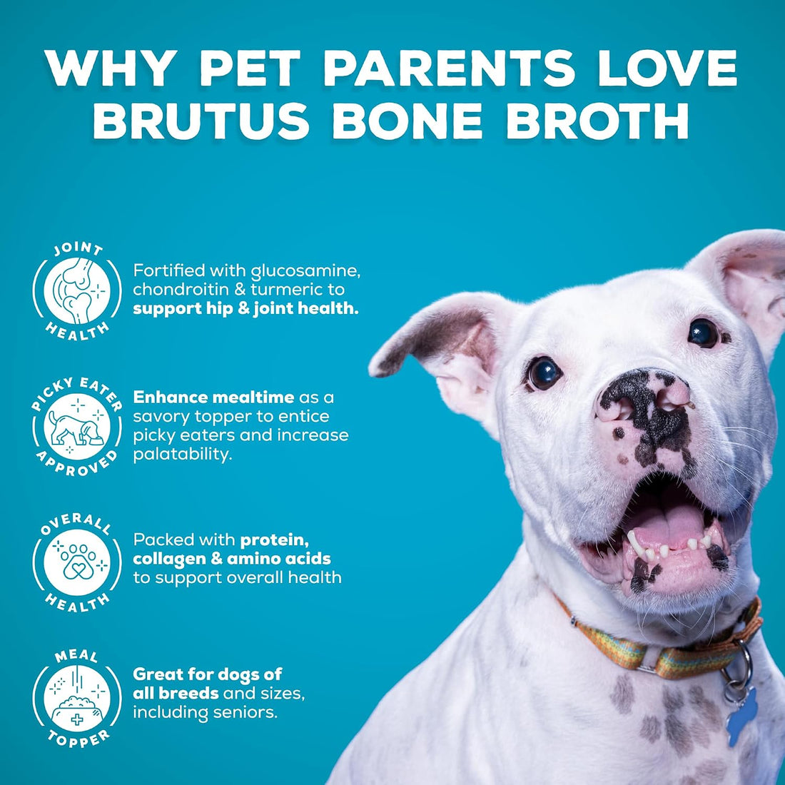 Brutus Beef Bone Broth for Dogs