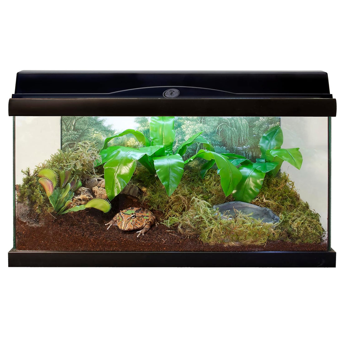 Zoo Med Eco Earth Compressed Coconut Fiber Substrate Reptiles 1 Brick