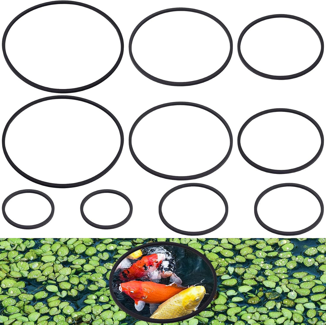 PAGOW 10pcs Fish Feeding Rings Set