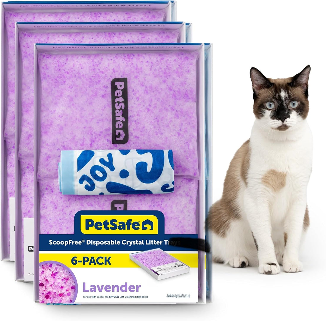 PetSafe ScoopFree Disposable Crystal Cat Litter Tray, Fresh Scent