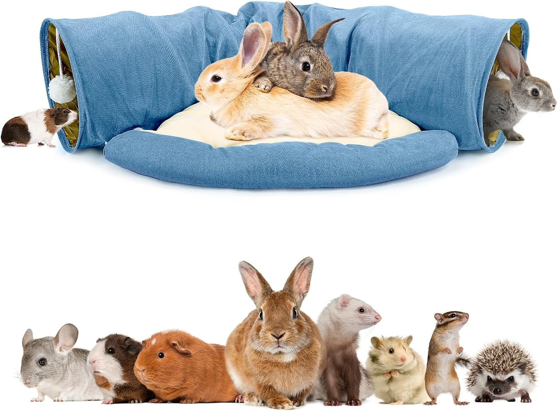 BWOGUE Bunny Tunnel Bed, 2-in-1 Collapsible Rabbit Tunnel Hideout