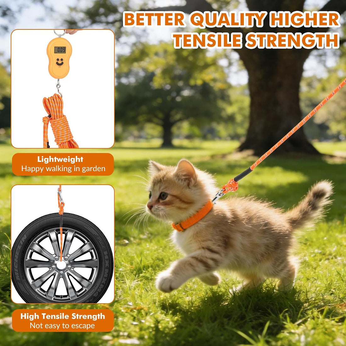 30FT Reflective Cat Leash,Escape Proof Long Training Lead for Cats