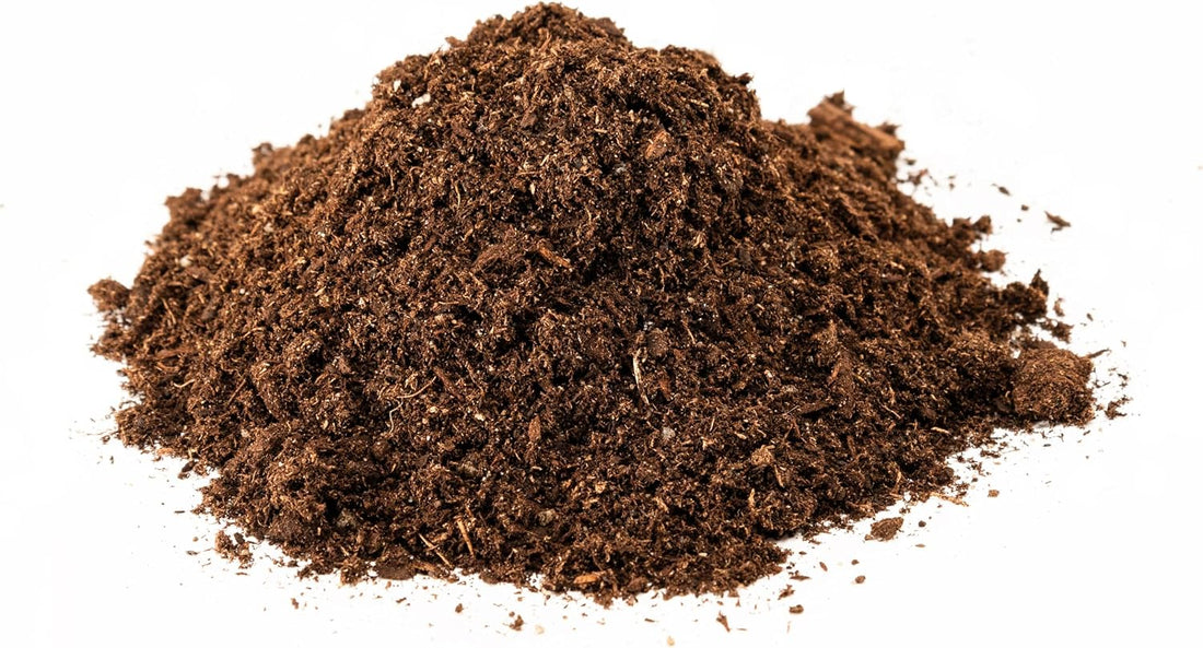 Zoo Med Reptisoil 10 qt.