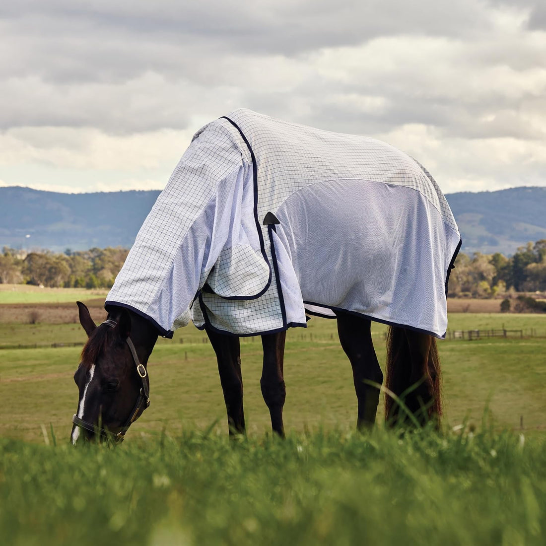 WeatherBeeta Airstream Detach-A-Neck, White/Navy, 81"