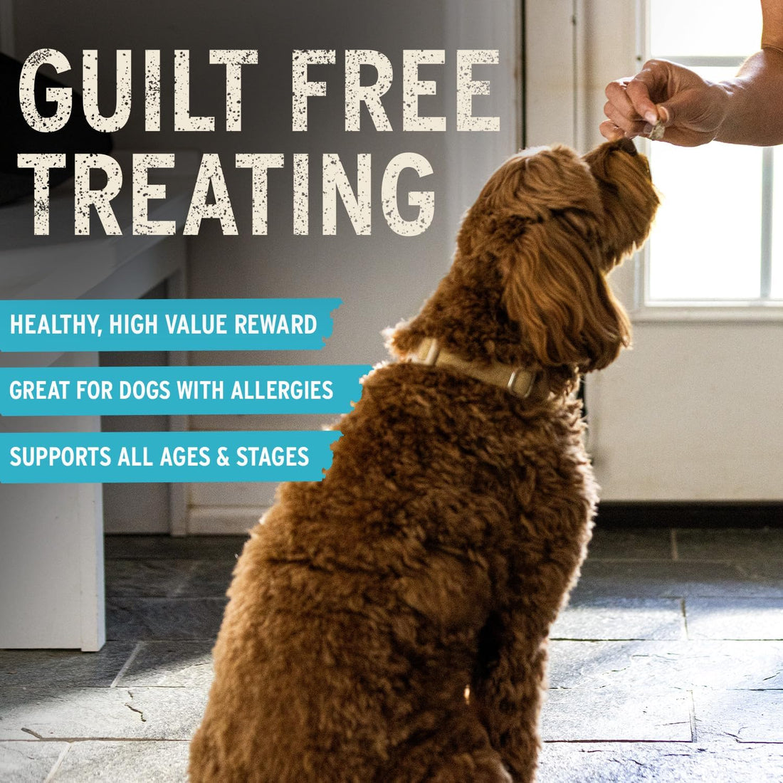 Vital Essentials Freeze Dried Raw Chicken Hearts Dog Treats