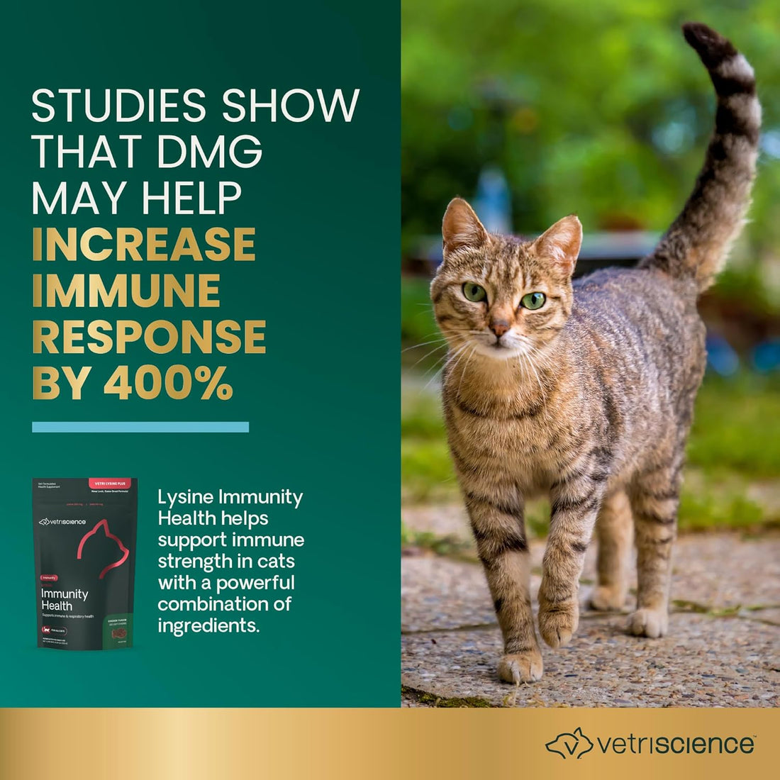 VetriScience Lysine Immunity Health Chews