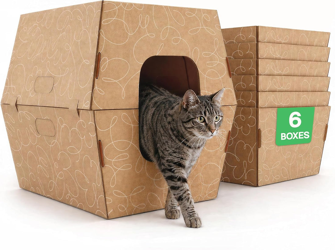 Cats Desire Disposable Litter Box, Extra Large 8.5" Tall Sides