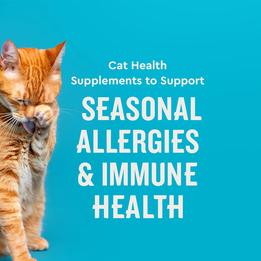 VetIQ Allergy Pro+ Relief, Cat Allergy Treats