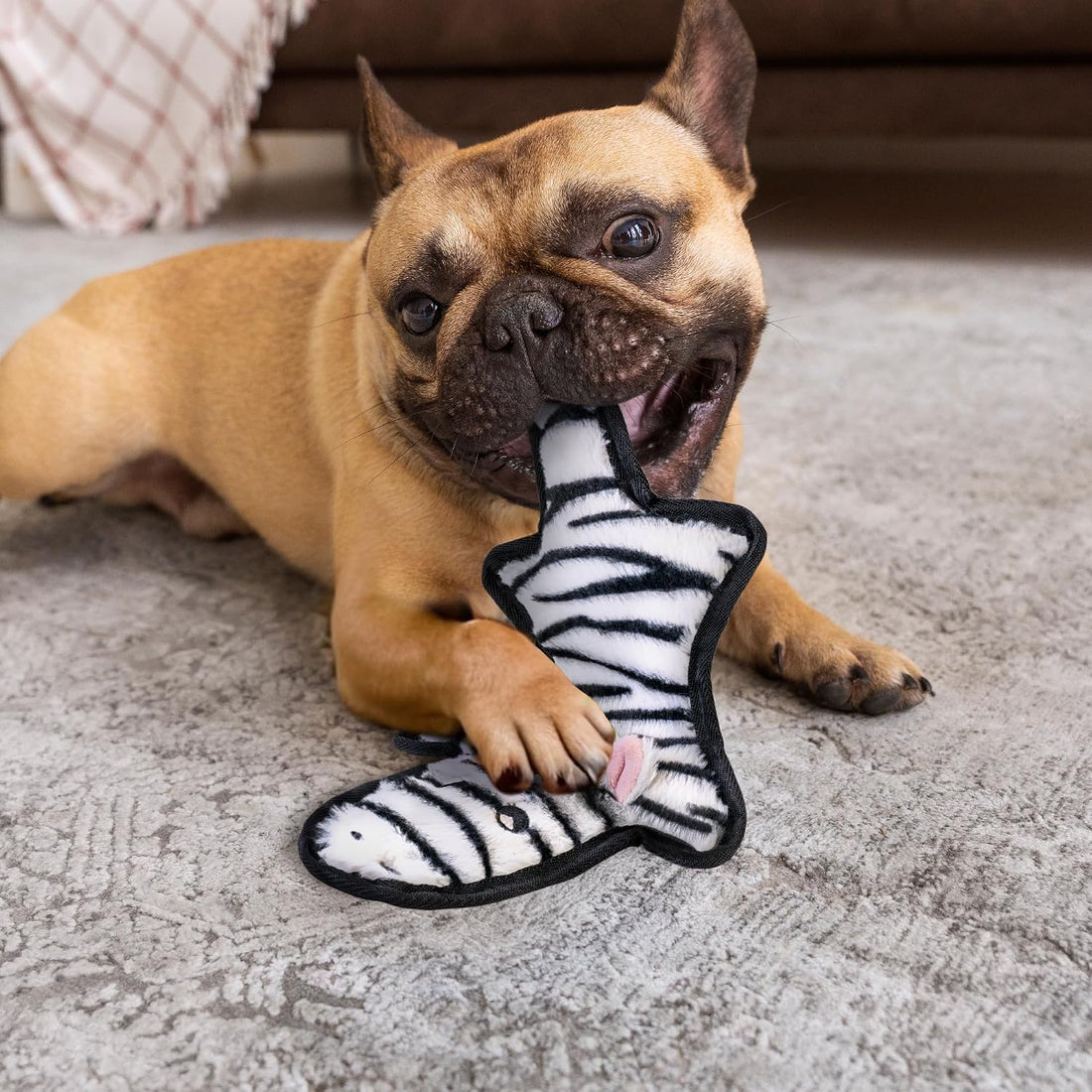SHARLOVY No Stuffing Dog Toys Crinkle Squeaky