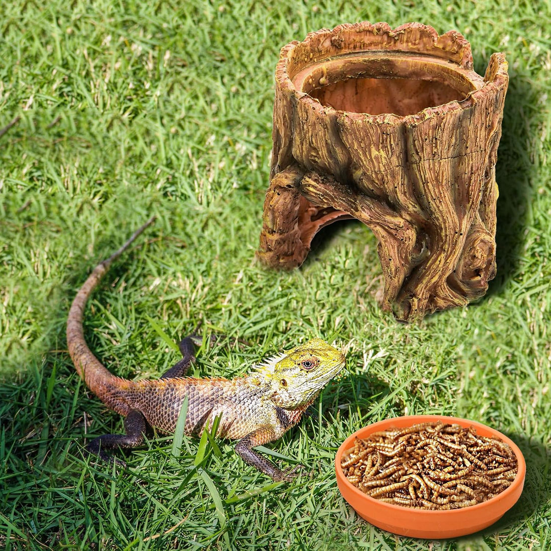 Cididu Reptile Hide Cave Resin
