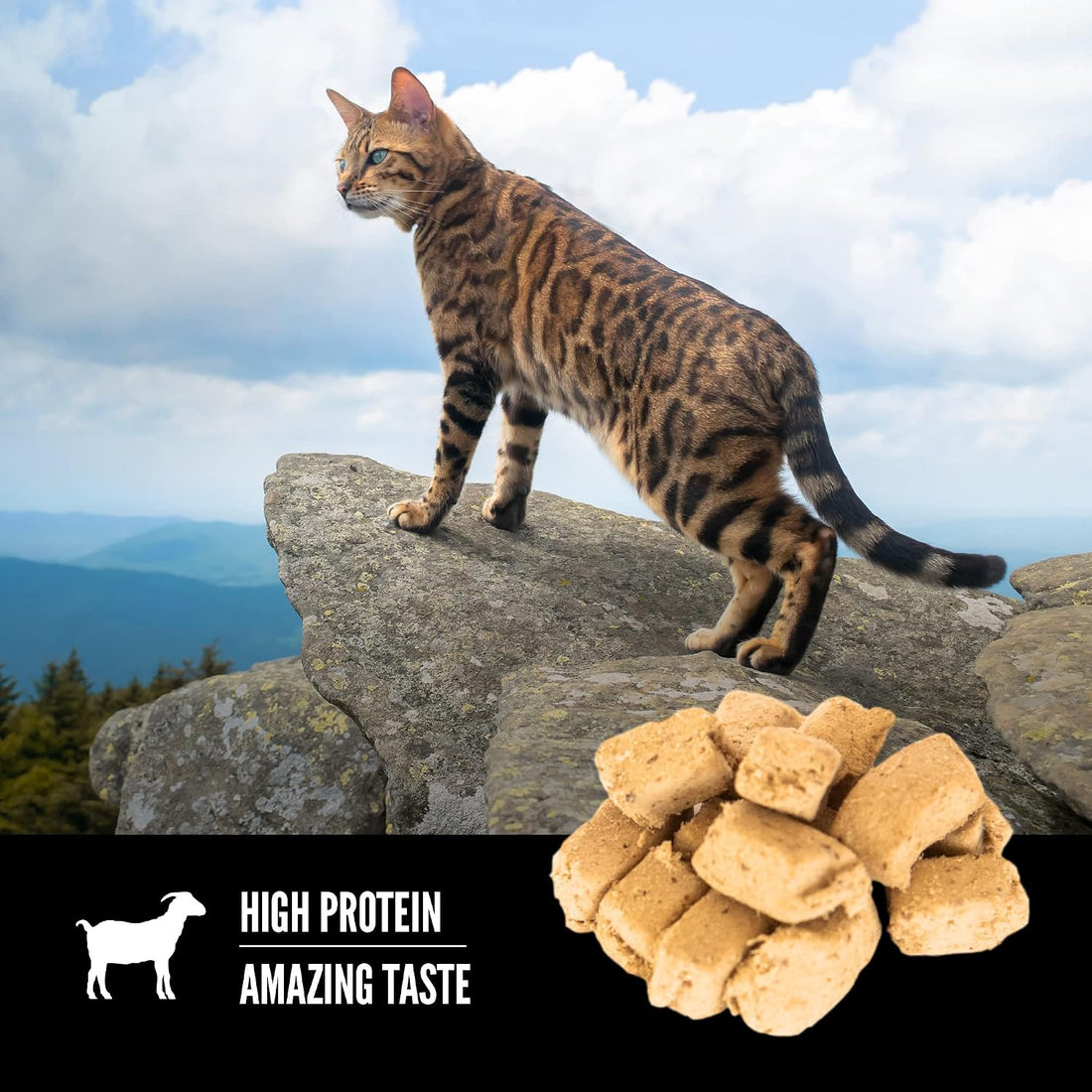 ORIJEN Tundra Freeze Dried Cat Treats, Grain Free Treats for Cats