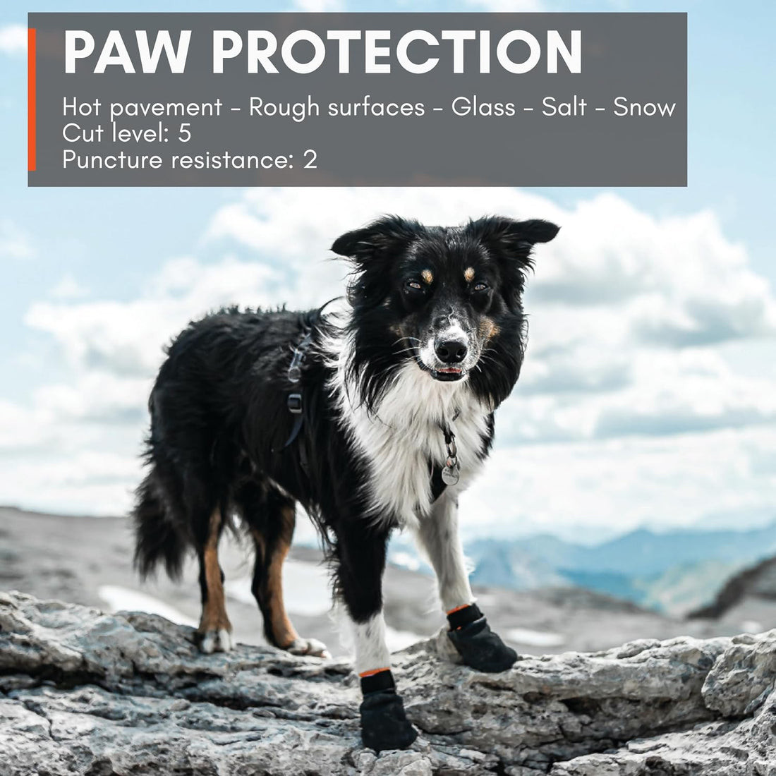 Non-stop Dogwear Dog Boots for Hot Pavement, Paw Protectors, 4-Pack