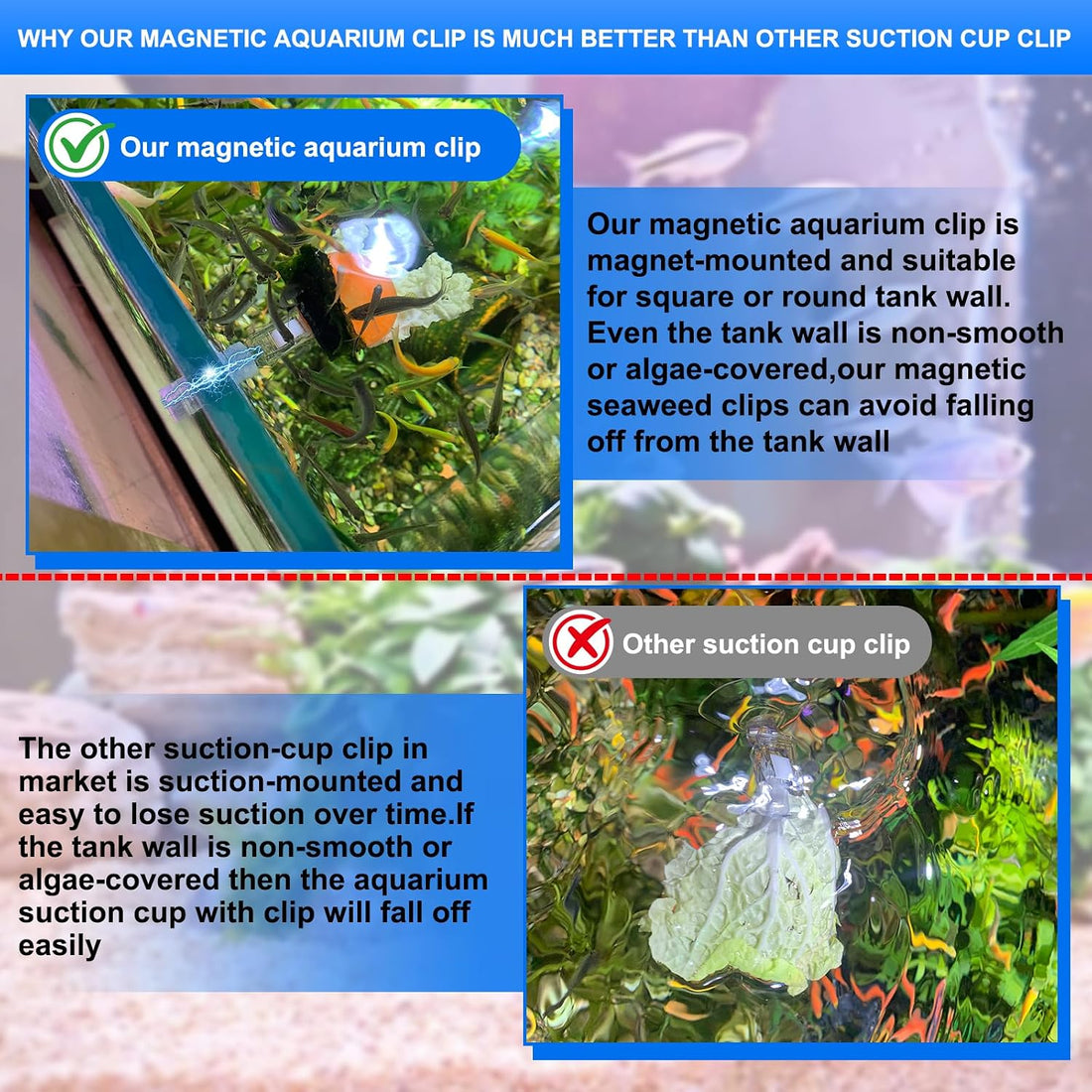 Magnetic Aquarium Veggie Clip Plant Feeding nori Seaweed Clip