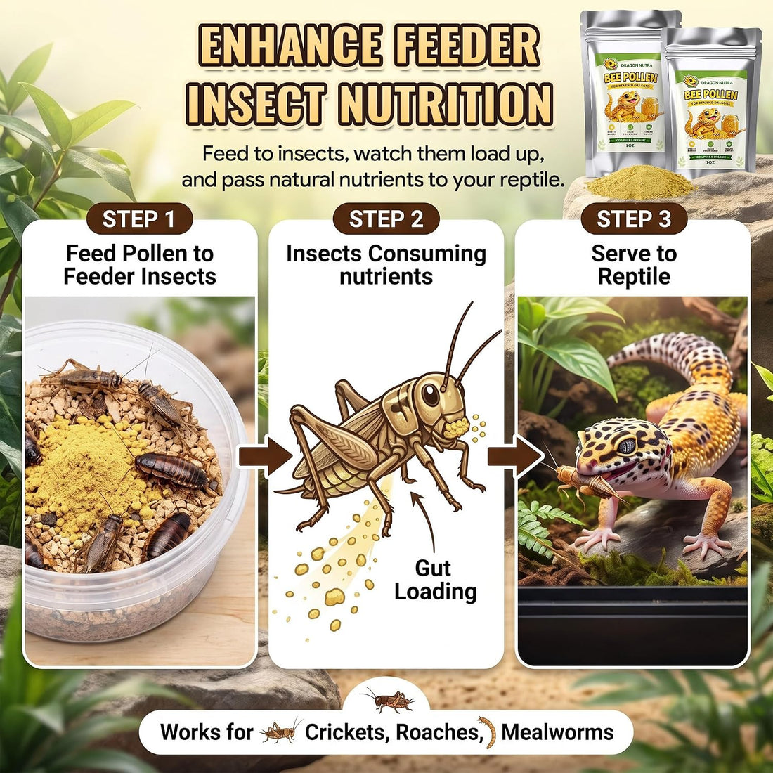 Bee Pollen Powder for Reptiles, 2pcs (1oz Each)