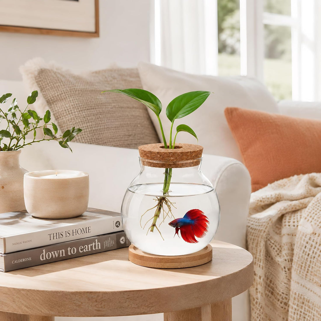 Healifty Desktop Fish Bowl, Glass Hydroponic Planter Tank Kit 5. 1 X