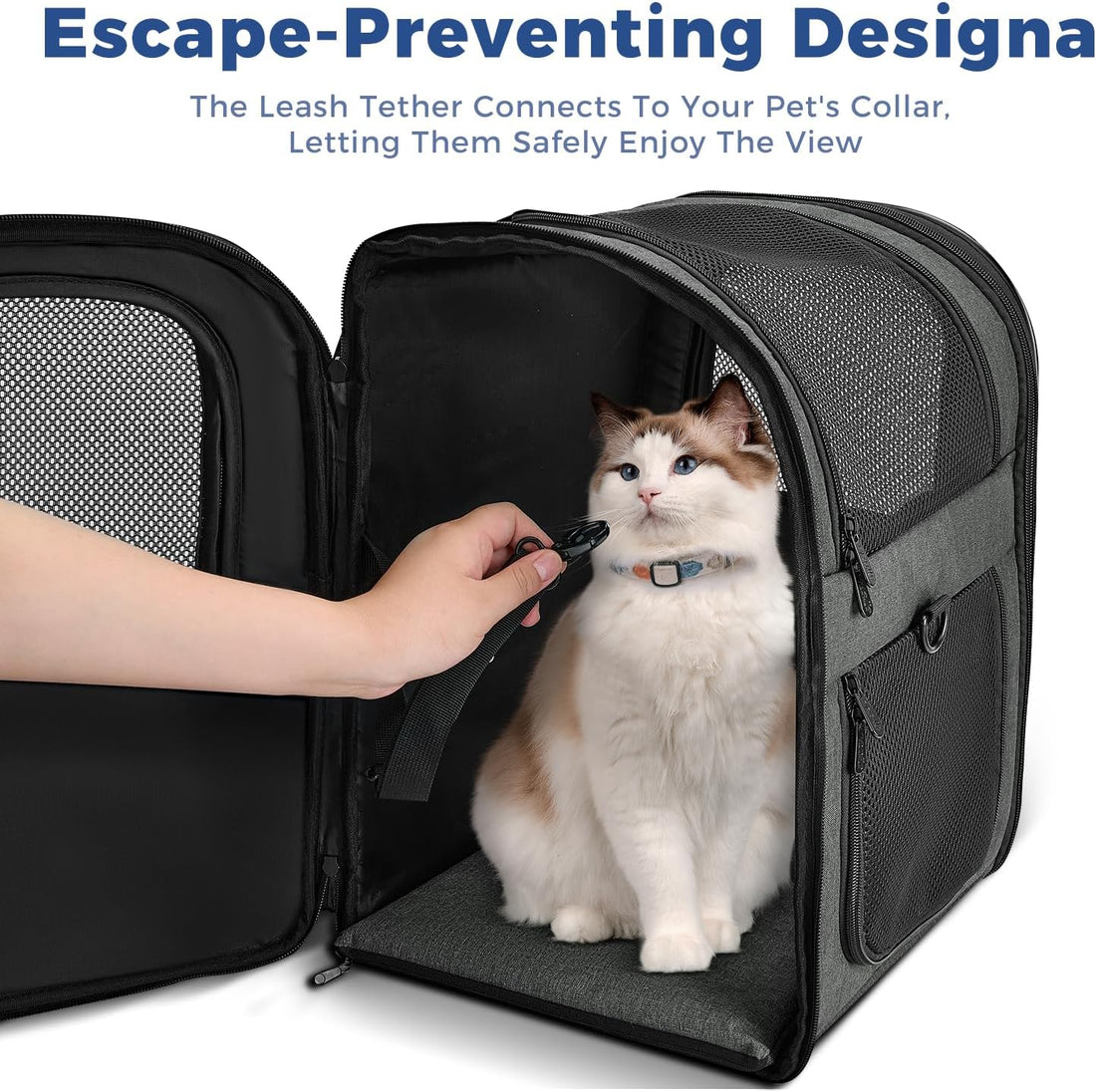 Apollo Walker Pet Carrier Backpack for 4-18lb Cats and Dogs, Puppies