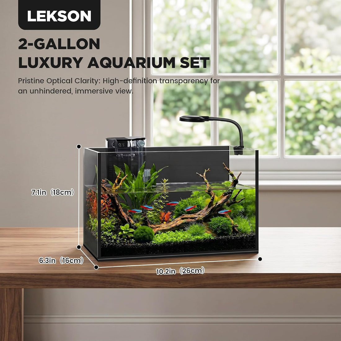 2 Gallon Small Fish Tank with Light and Filter Desktop Aquarium