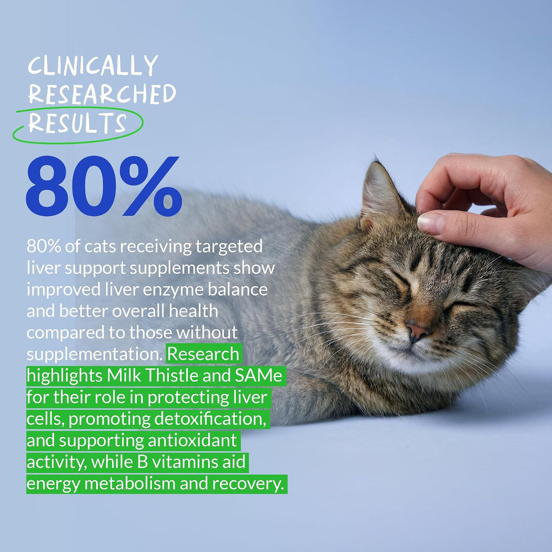 Milk Thistle for Cats Liver Support, Kidney Health & Detox Support