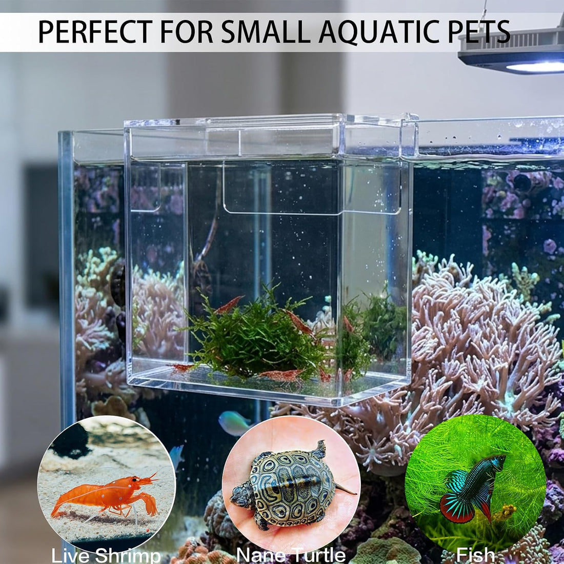 Drip Acclimation Box for Fish & Shrimp, Small