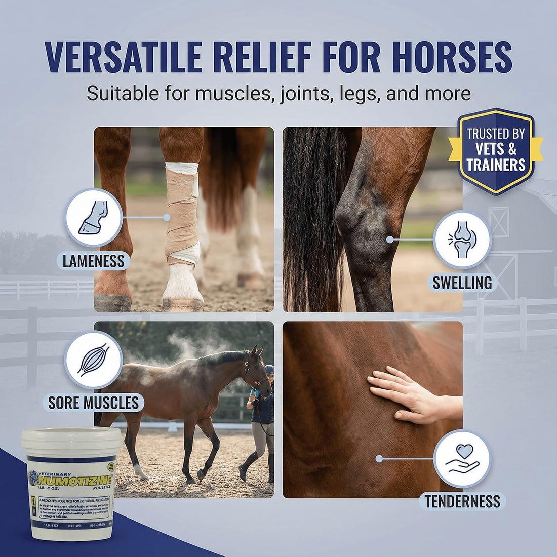 Numotizine Poultice, 24 oz