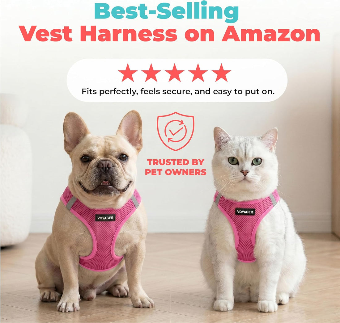 Voyager Step-in Air Dog Vest Harness - Fuchsia, Small