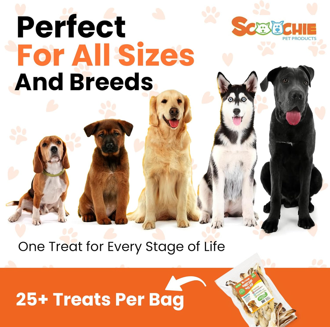 Scoochie Pet Rabbit Ears, Single-Ingredient Rabbit Treats, 25 Pack