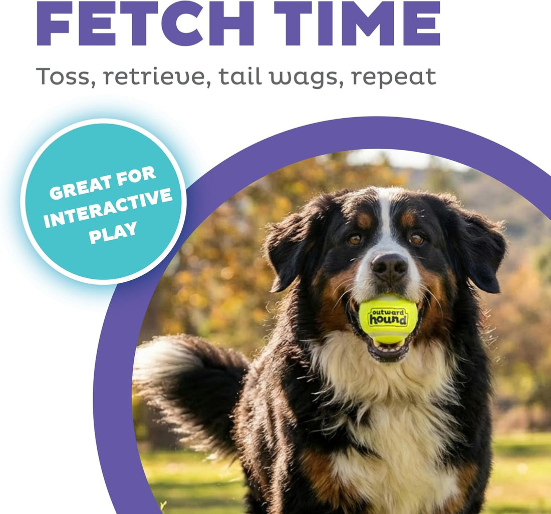 Outward Hound FlyFetch Launch-A-Ball Dog Ball Launcher Toy, 15.5"