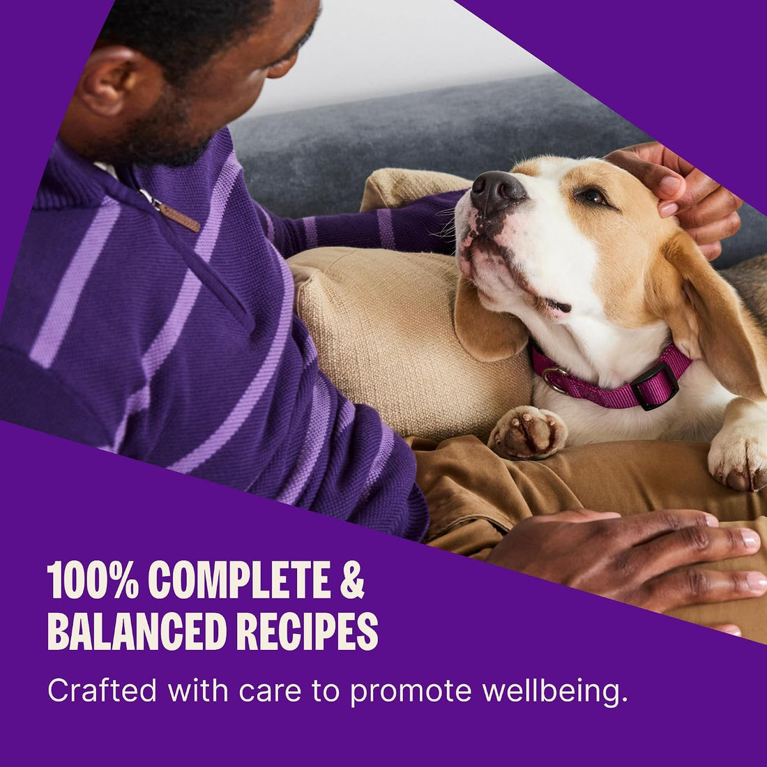 Wellness Complete Health Adult Dry Dog Food, Wholesome Grain Kibble